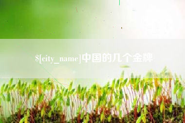 陆丰中国的几个金牌