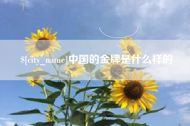 陆丰中国的金牌是什么样的