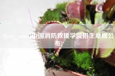 陆丰中国消防救援学院招生章程公布!