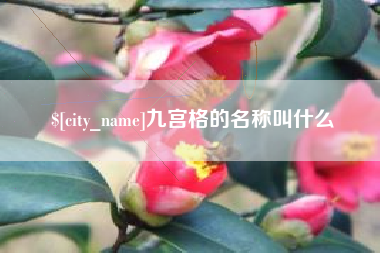 陆丰九宫格的名称叫什么