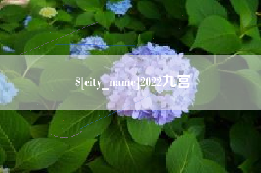陆丰2022九宫