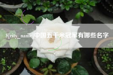 陆丰中国五千米冠军有哪些名字
