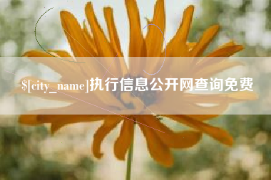 陆丰执行信息公开网查询免费