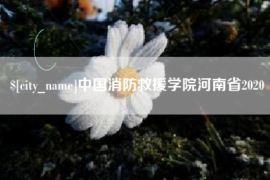 陆丰中国消防救援学院河南省2020